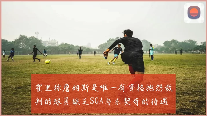 霍里称詹姆斯是唯一有资格抱怨裁判的球员缺乏SGA与东契奇的待遇
